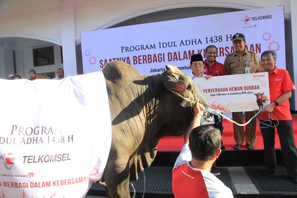 Telkomsel Bagikan 41.000 Paket Daging Qurban