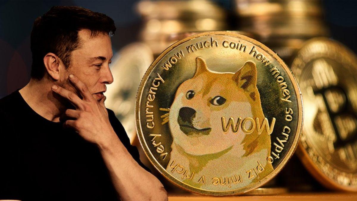 Lagi, Nilai Dogecoin Meroket Gegara Elon Musk