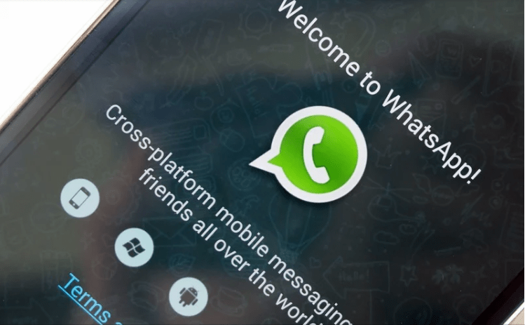 Backup WhatsApp di Android Bakal Disuruh Bayar?