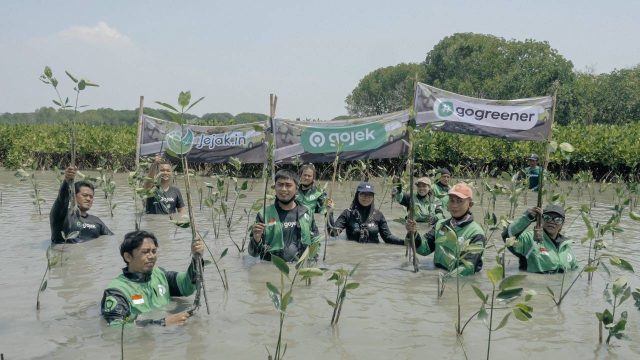 Naik Ojol Bisa Sambil Tanam Pohon, Ini Caranya