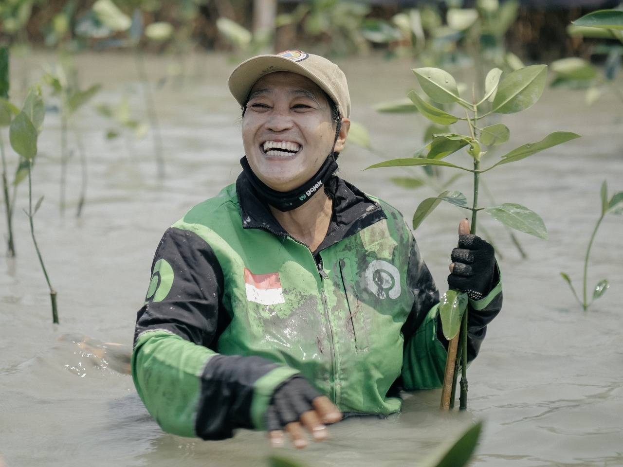 Gojek Luncurkan Fitur Pohon Kolektif