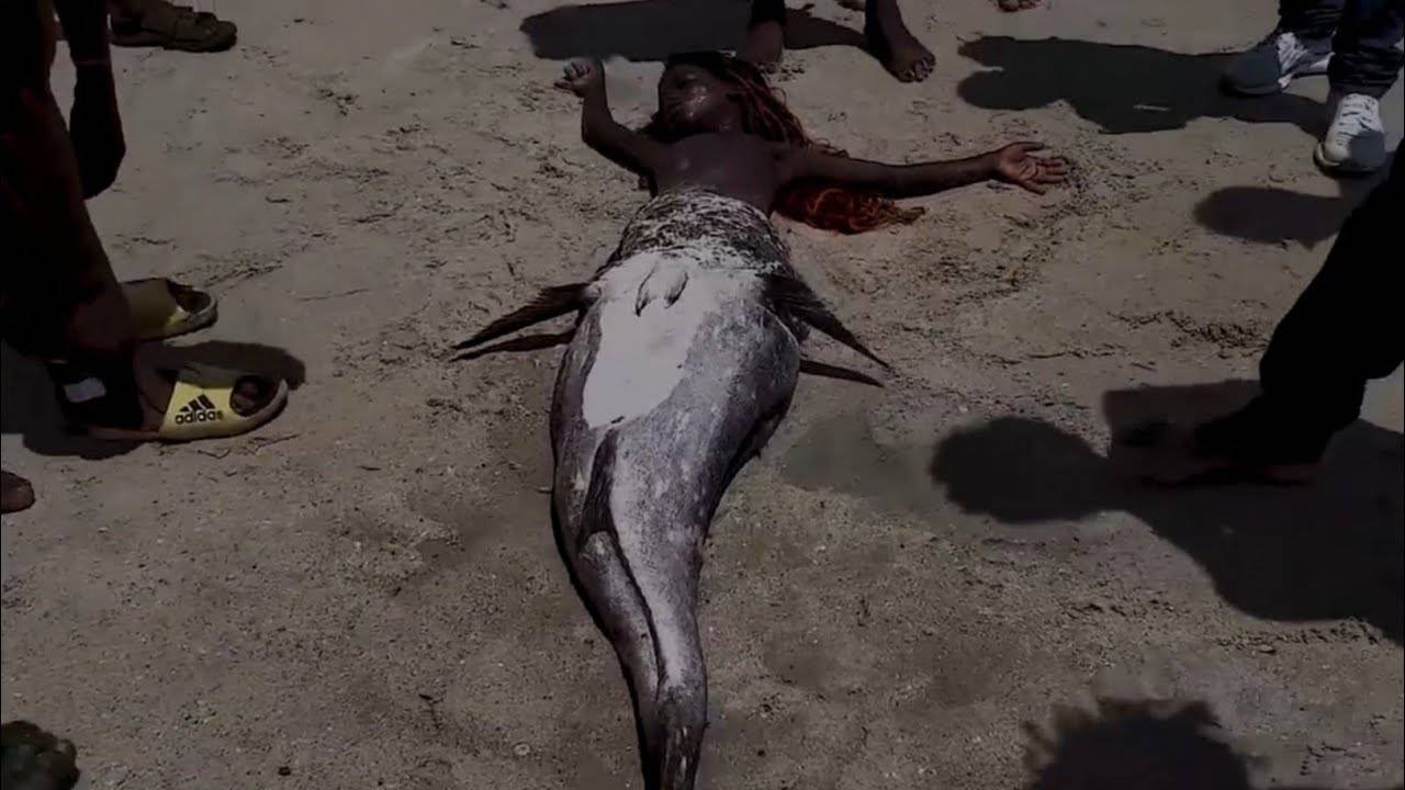 Heboh Putri Duyung Terdampar di Pantai, Ini Faktanya