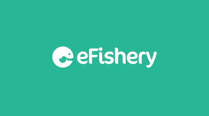 Lowongan Kerja IT Governance di eFishery