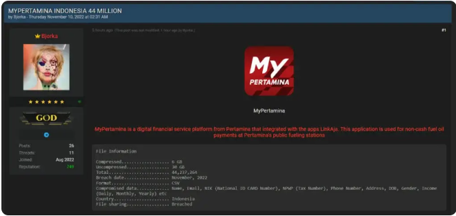 Bjorka Berulah Lagi, Jual 44 Juta Data Pengguna MyPertamina