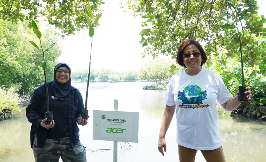 Gerakan Acer Sayang Bumi Jaga Kebersihan Pantai Sambil Tanam Bibit Mangrove