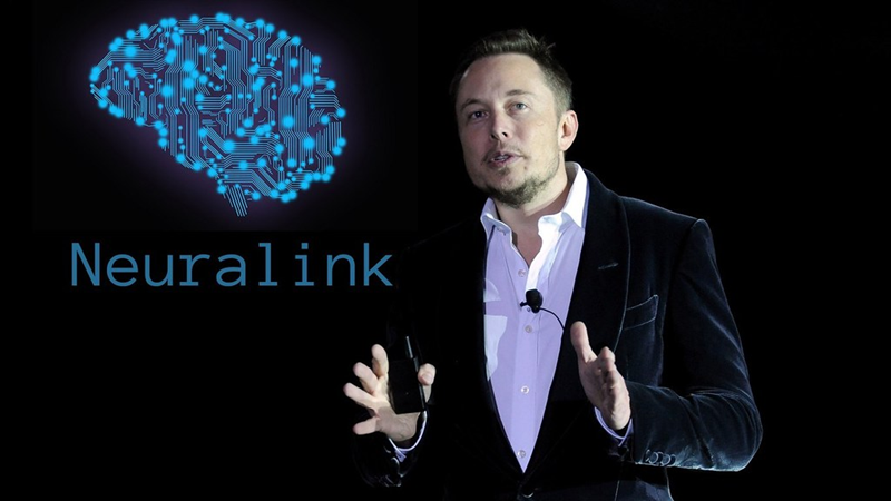 Neuralink Temukan Kerusakan Implan Otak Setelah Uji Coba Manusia