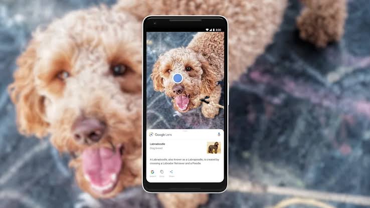 Google Lens Dukung Fitur Pencarian dalam Video dan Voice AI